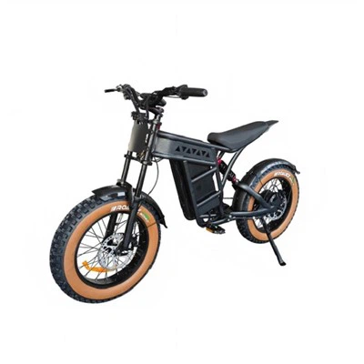 Motos à double moteur 2500W